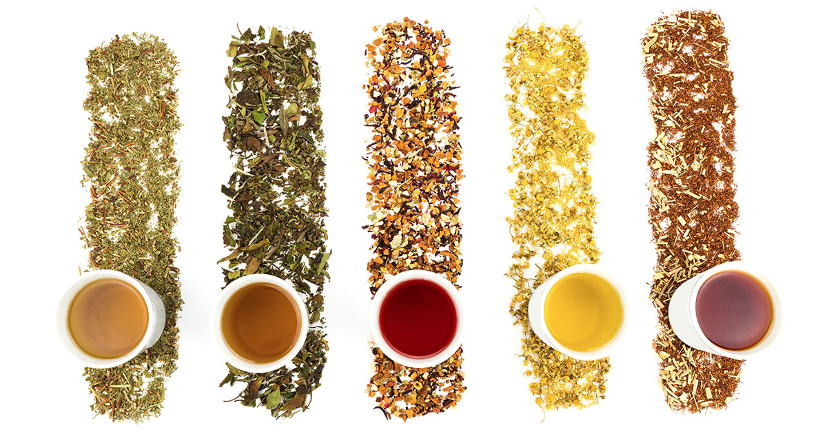 Best Teas for Brain Health 6 Top Picks