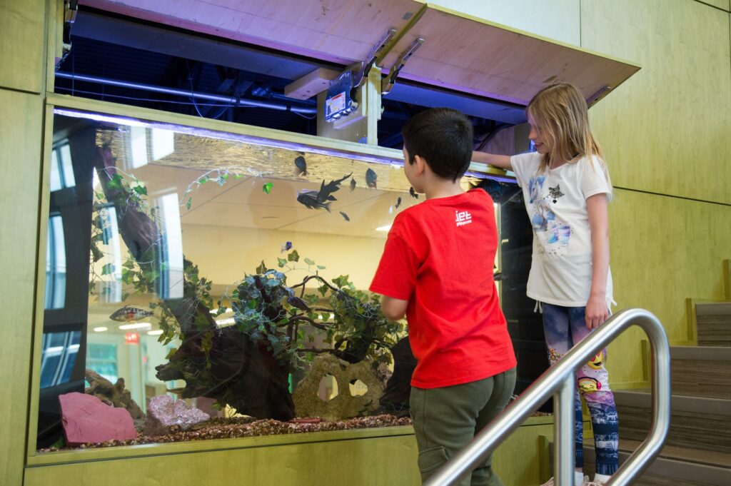 Sunset Ridge School BrainSpaces Inc.