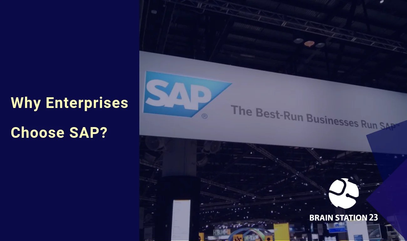 Why Enterprise Businesses Choose SAP? Brain Station 23 PLC