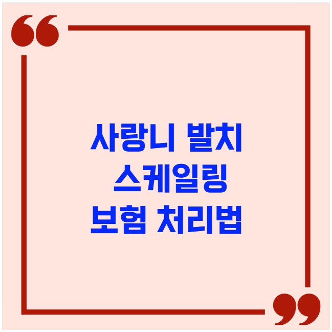 사랑니 발치와 스케일링 보험 처리법