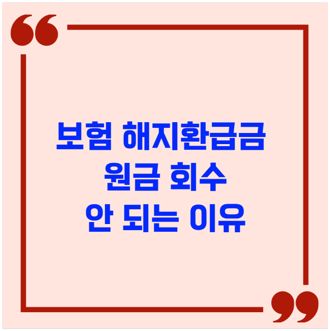 보험 해지환급금 원금 회수 안 되는 이유
