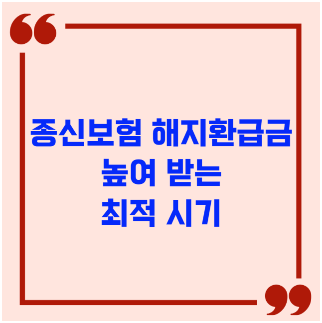 종신보험 해지환급금 높여 받는 최적 시기