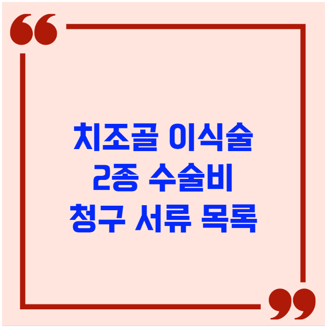 치조골 이식술 2종 수술비 청구 서류 목록