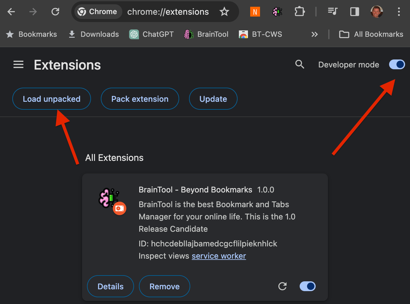 Local Install BrainTool Beyond Bookmarks
