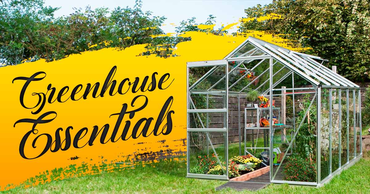 8 Essentials that Greenhouse Need Inside
