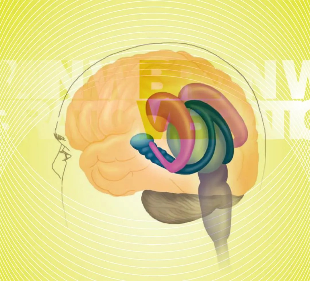 Syncing To The Rhythms Of Vibrant Health Brain World