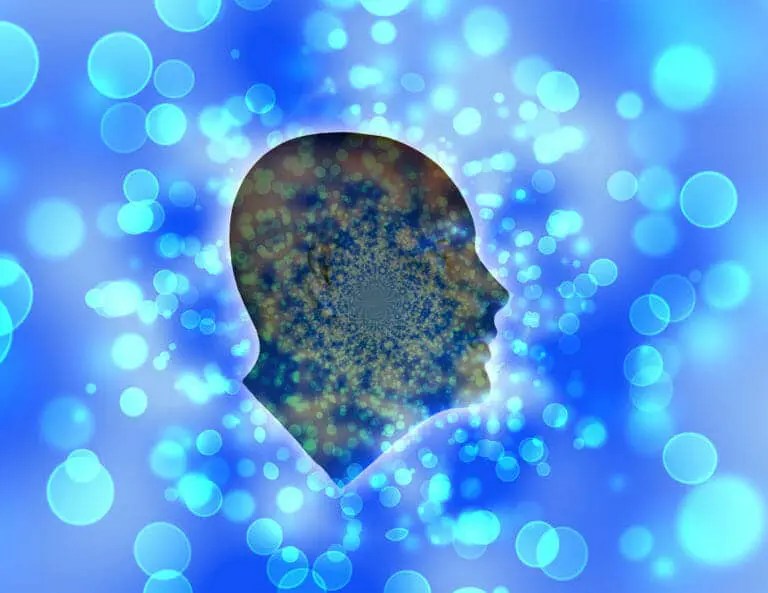 Things Are Not As They Seem What Is A Perception? » Brain World