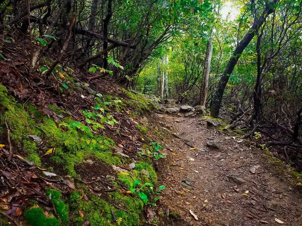 13 Best hikes on the East Coast to add to your bucket list Brainy