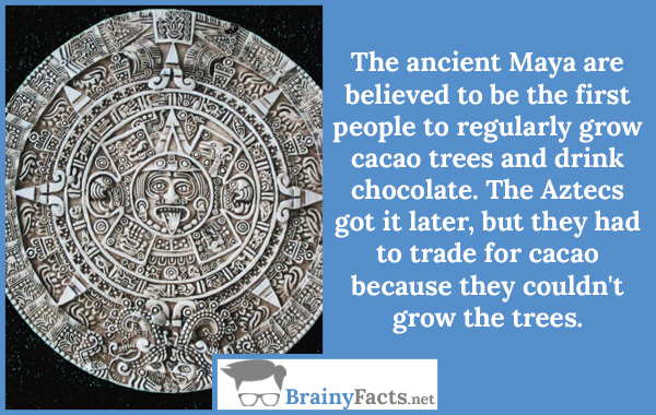 Ancient Maya Facts For Kids