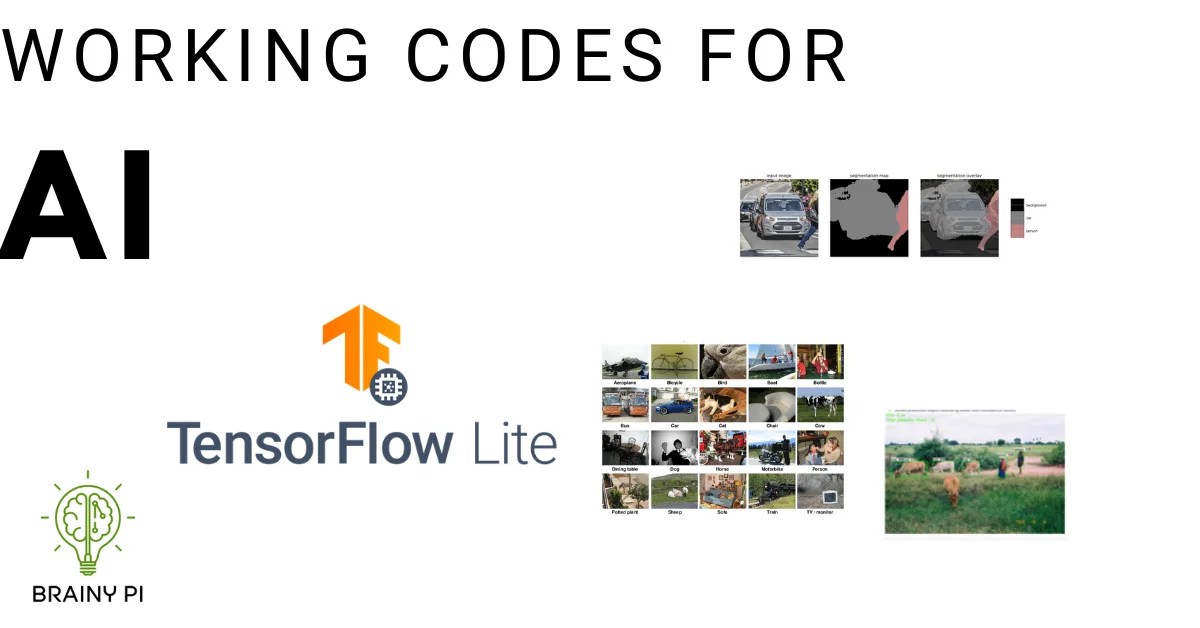 TFLite Brainy pi home