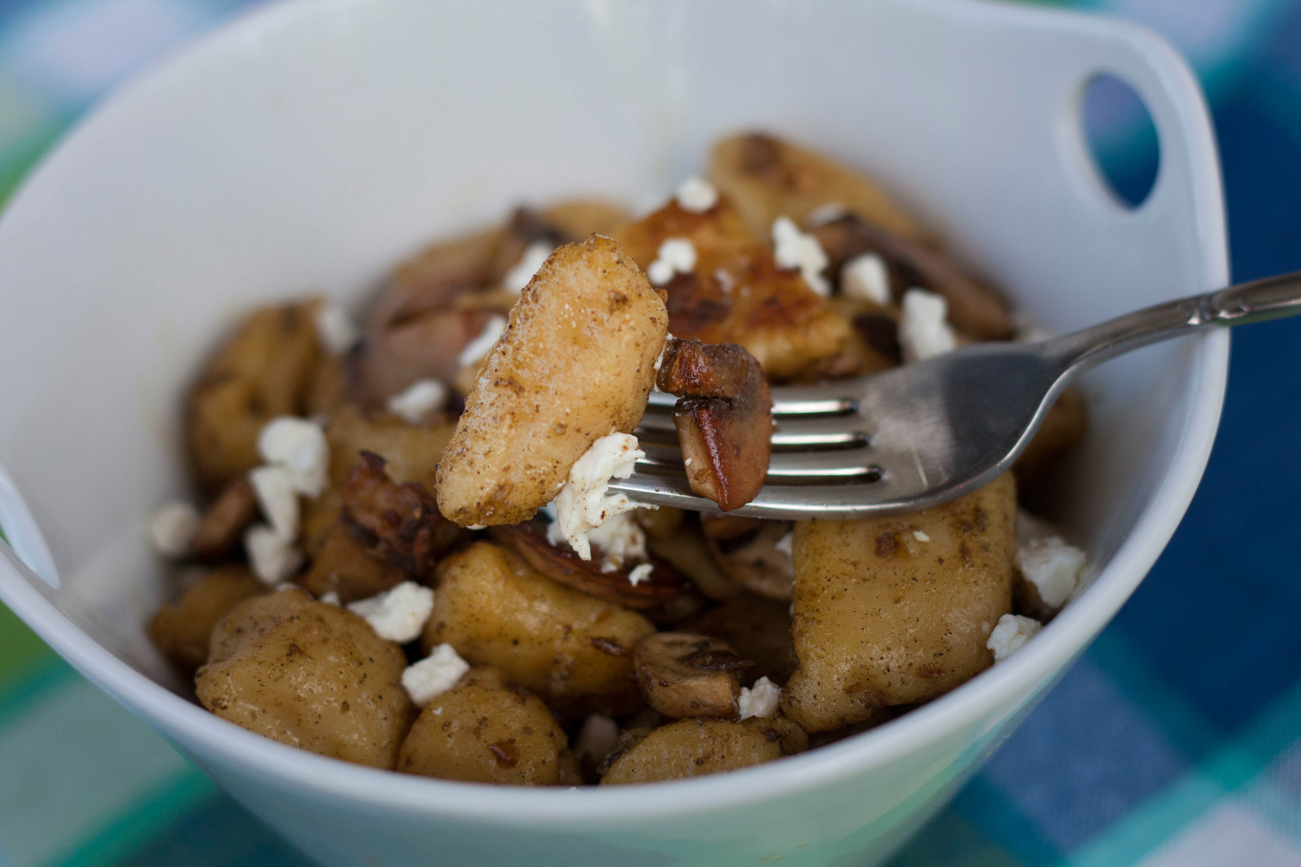 Pumpkin Ricotta Gnocchi with Mushrooms and Goat Cheese Braised Anatomy