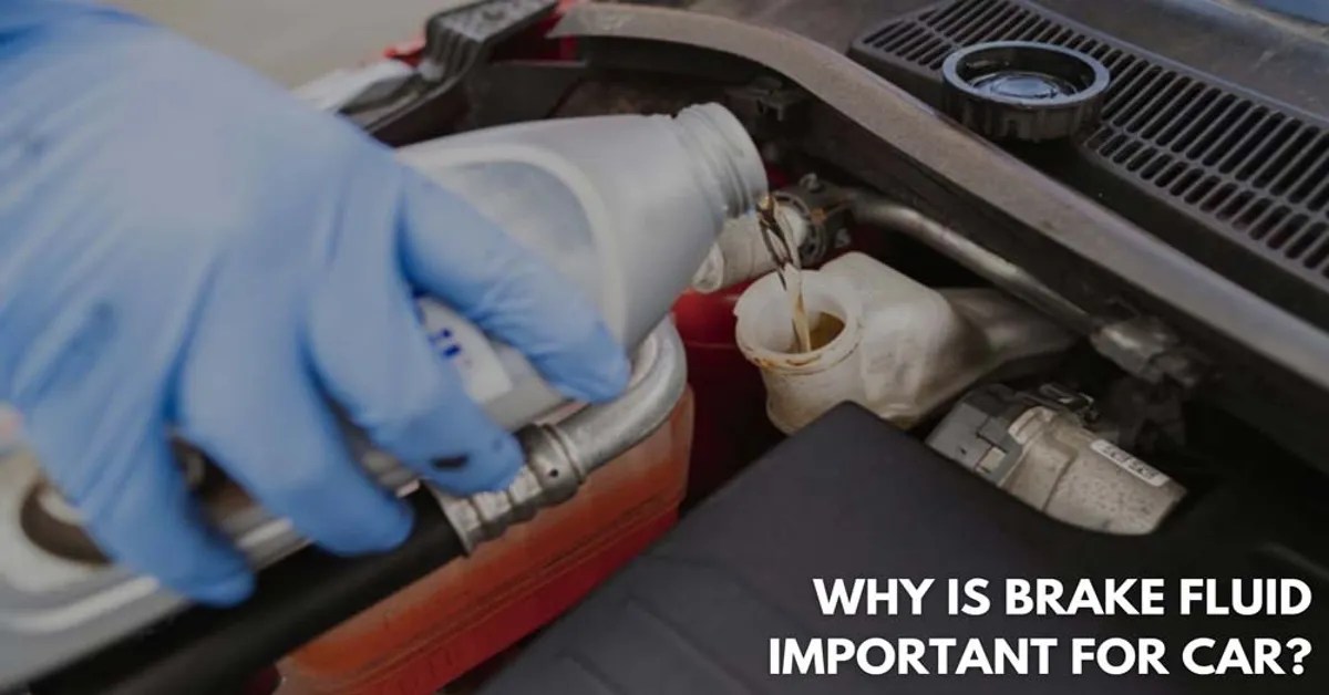 Ultimate Guide to Brake Fluid How it Works & Why Maintenance is Essential Brakes Fluid