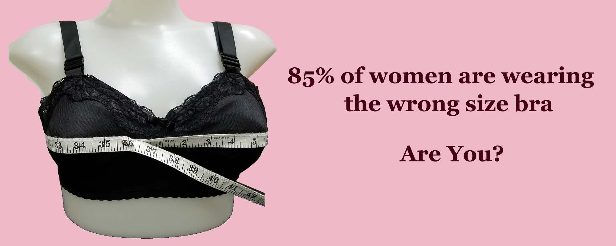 Specialty Bras Bra Boutique Professional Bra Fitting SWFL