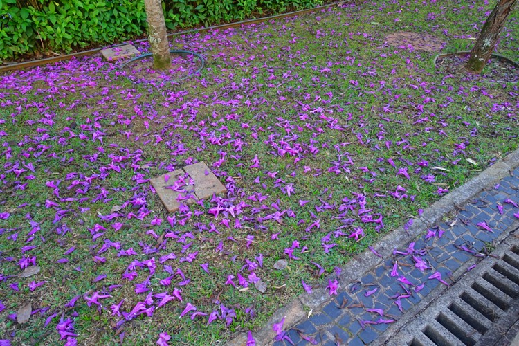 Enjoying Winter Weather Braman's Wanderings