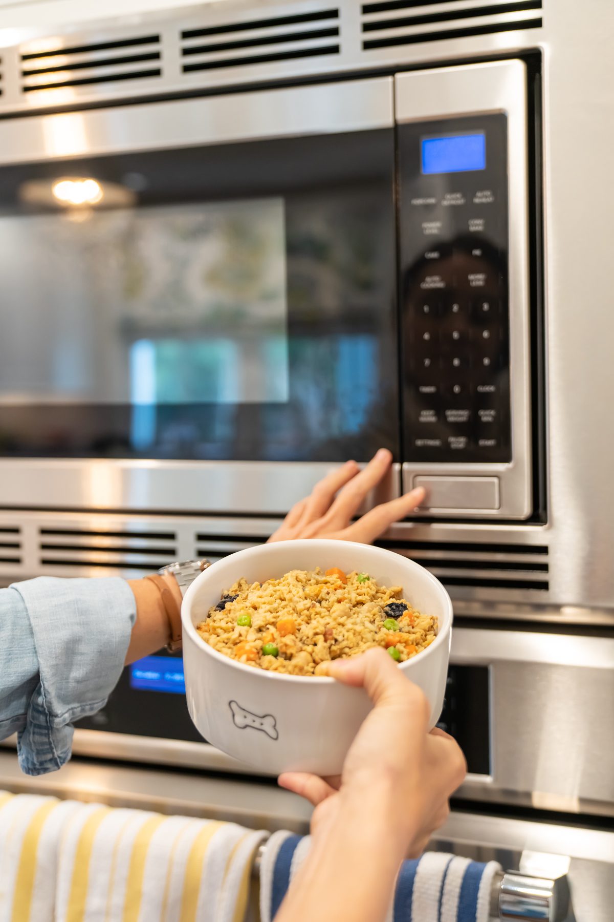 Feeding Your Pets Fresh Dog Food is Easy Bramble Pets