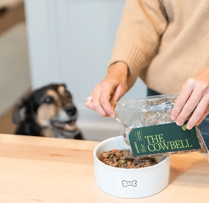 Learn the benefits of PlantBased Dog Food Bramble Pets