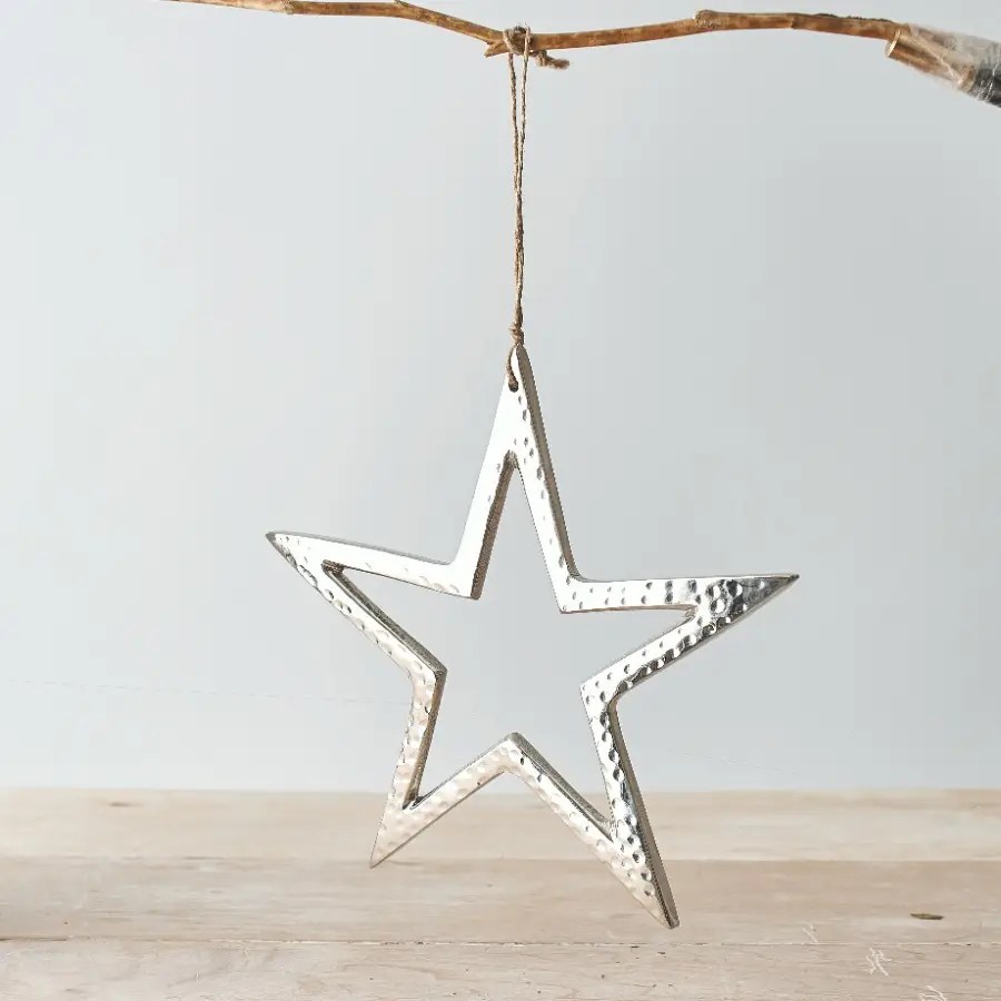 Portland Silver Hanging Star, 25cm Brambles