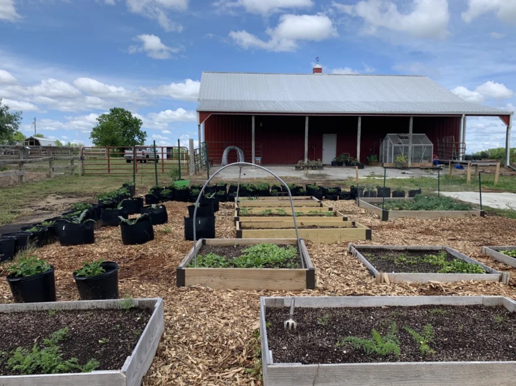 Farm Soap Making Class Bramble's Edge Farm