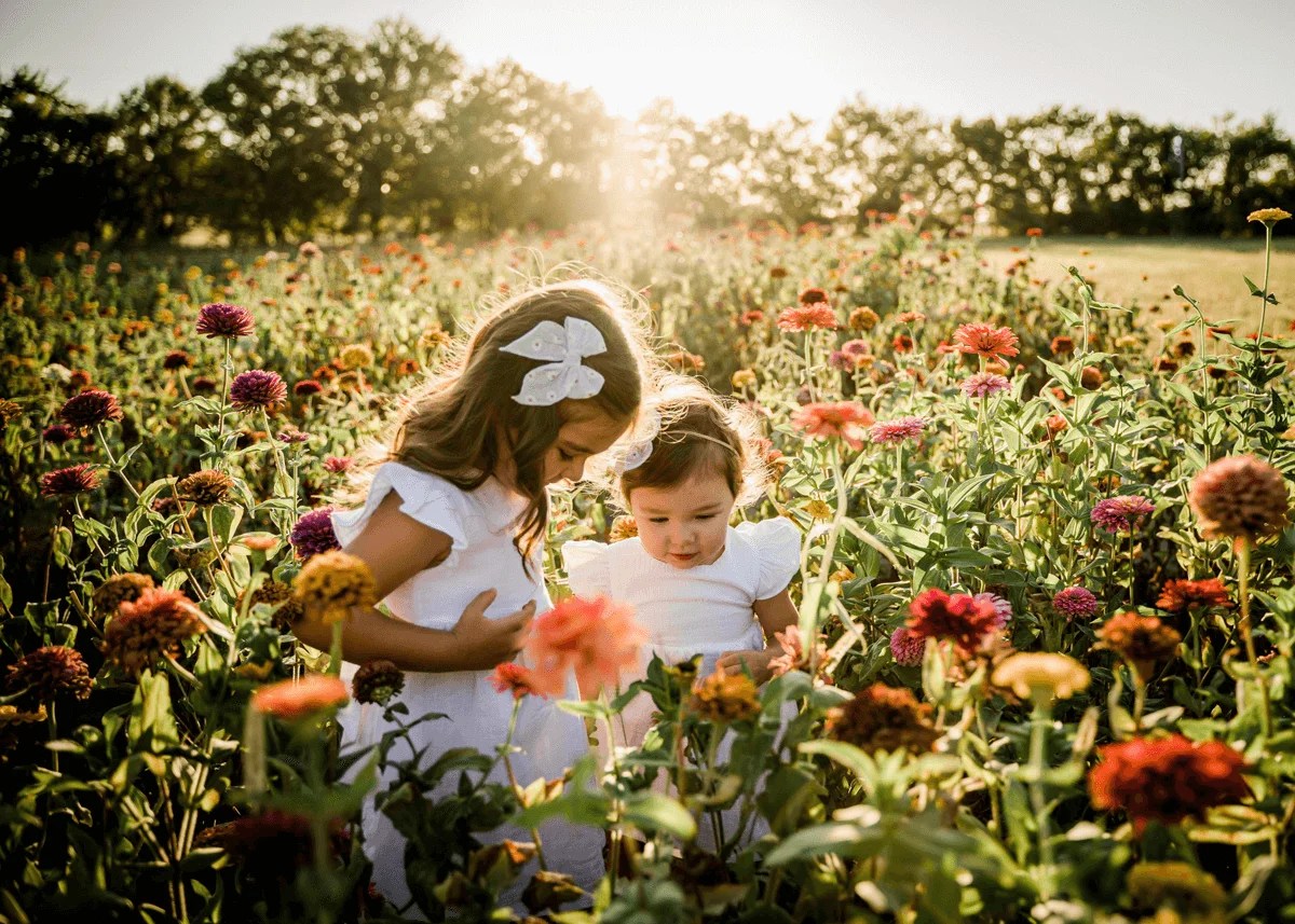 Schedule Photoshoots at Bramble's Edge Bramble's Edge Farm