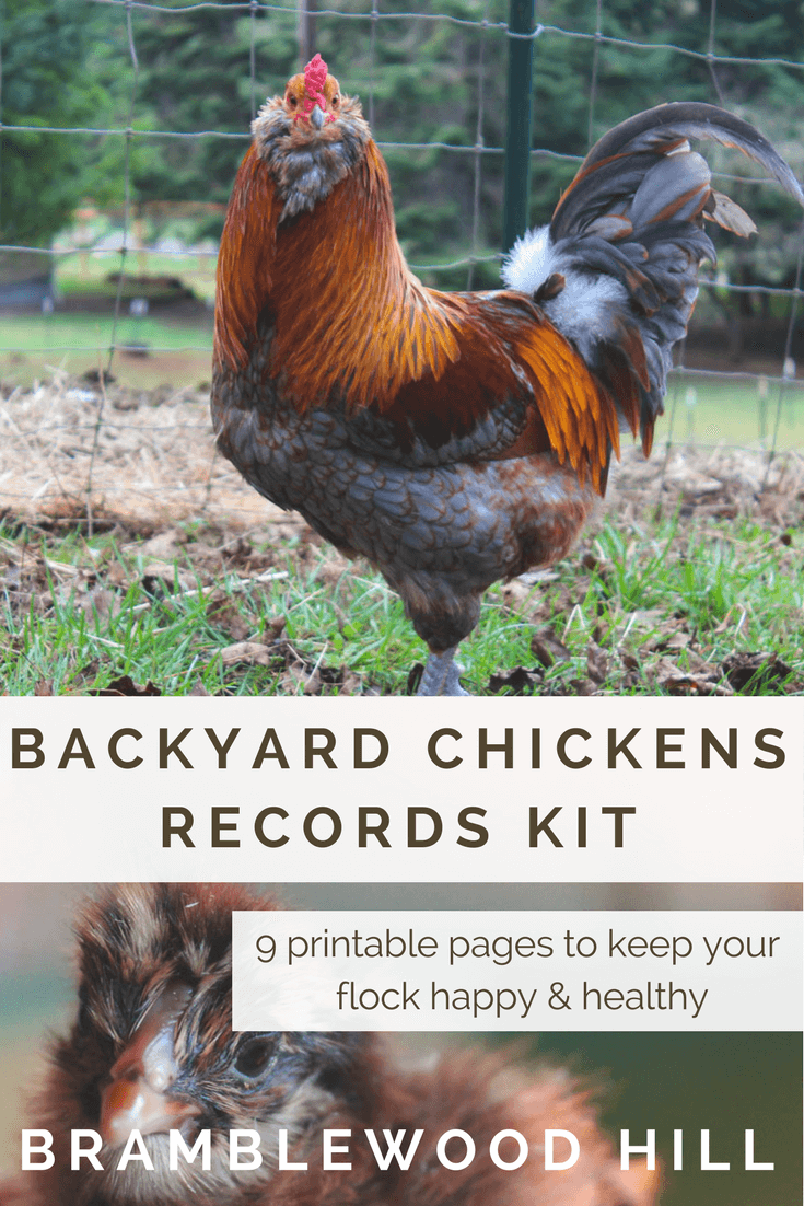 Backyard Chickens Record Keeping Kit Bramblewood Hill