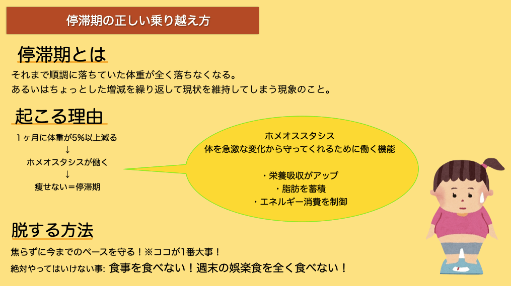 ダイエットの習慣をストレスフリーに 停滞期とは？ パーソナルトレーニング ブランチ｜福岡市西区姪浜のBranch