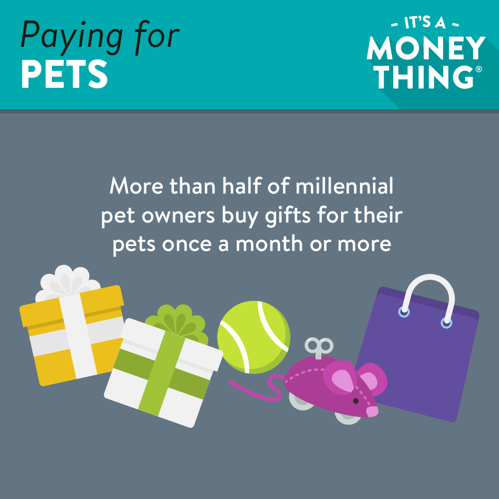 Paying for Pets Branches