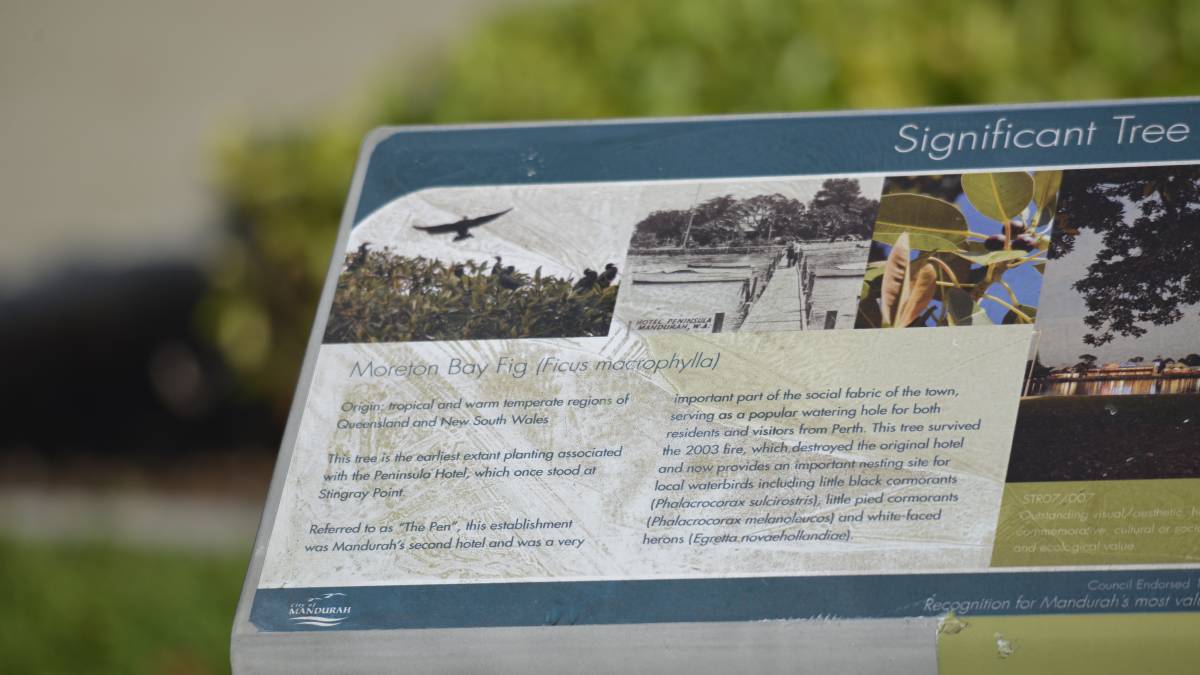 Mandurah's Significant Tree Register