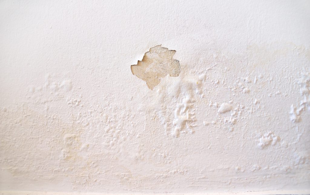 Do I Need to Replace Water Damaged Drywall