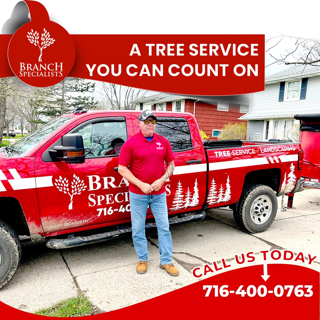 Branch Specialists Tree Service Buffalo NY Tree Care, Cutting