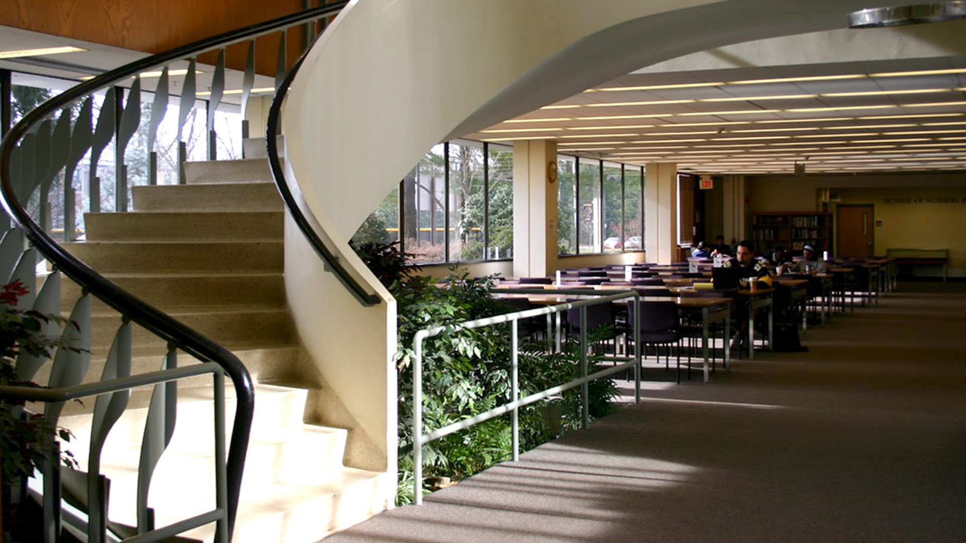 Zoom Virtual Backgrounds Brand Identity Adelphi University