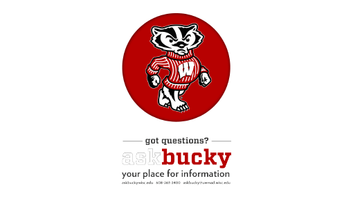 PowerPoint Brand and Visual Identity UWMadison