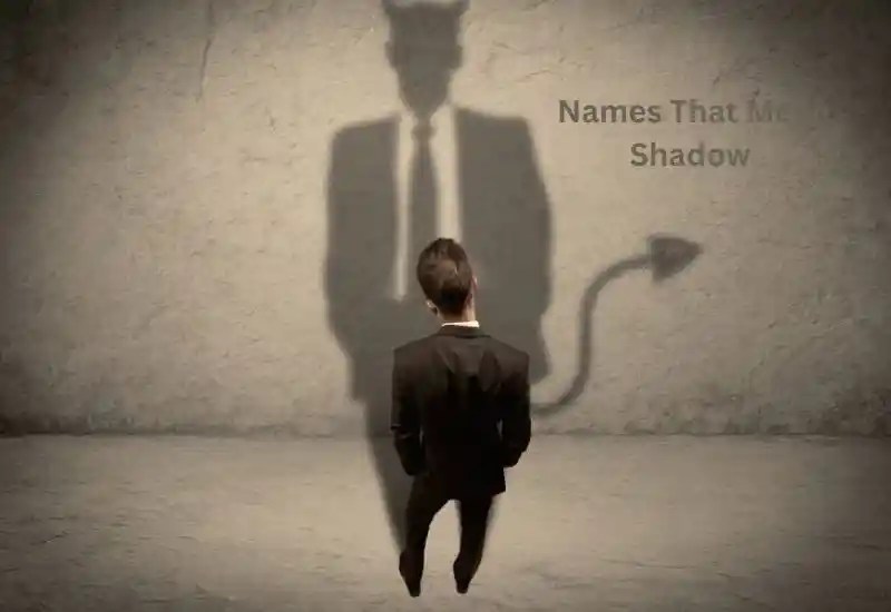 999+ Best Names That Mean Shadow 2024 Brandbookcloud