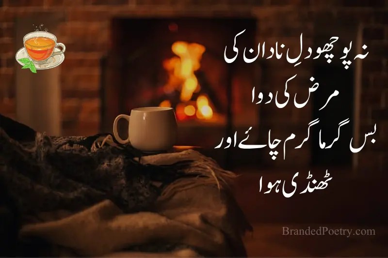 Tea Poetry In Urdu [2023] Best Chai Poetry Chai Shayari