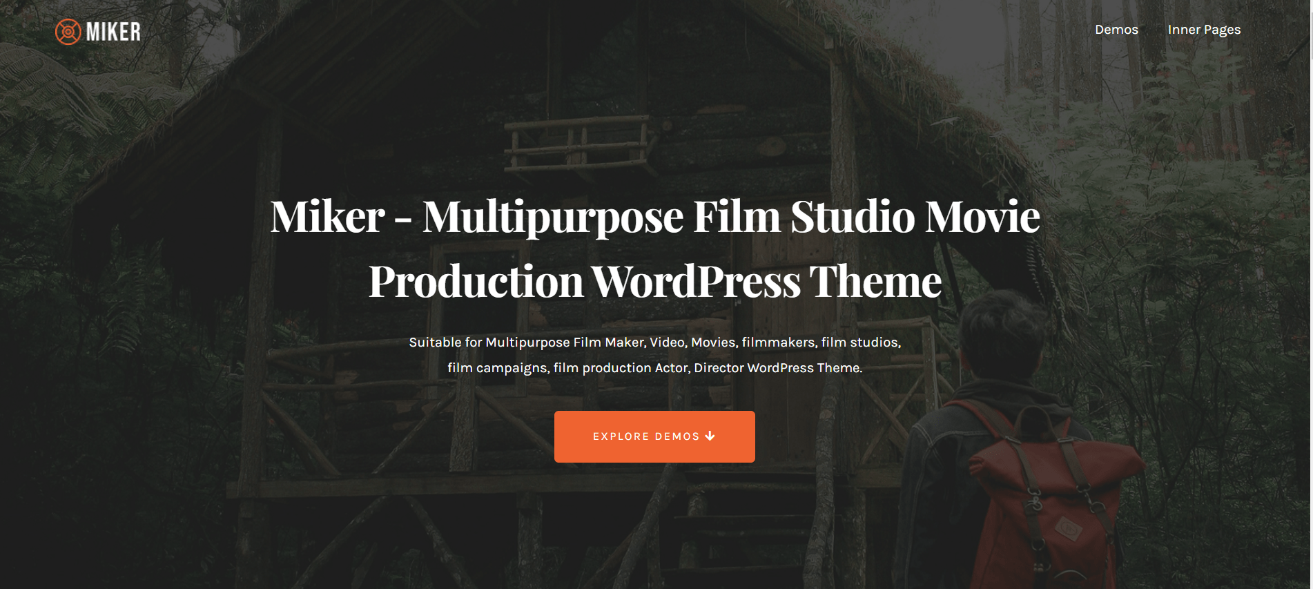 10+ Best Film Studio WordPress Themes 2024 BE