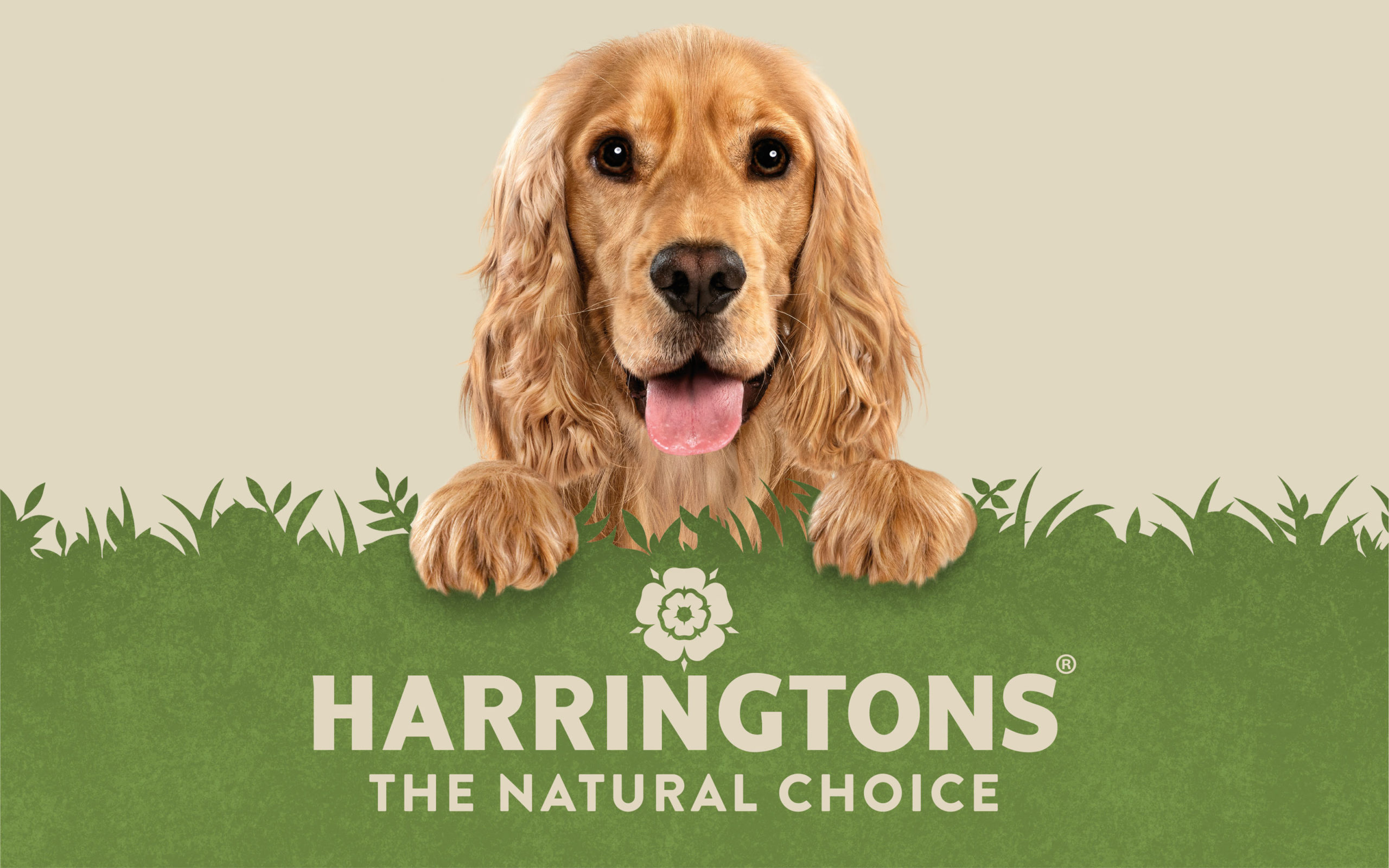 Harringtons Pet Food ReBrand World Branding Forum