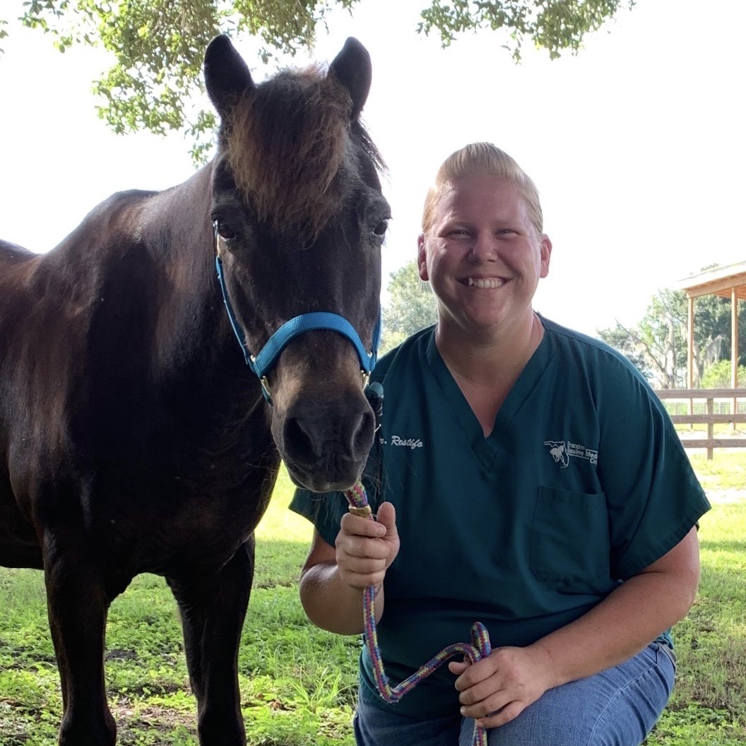 Our Veterinarians Brandon Equine Medical Center