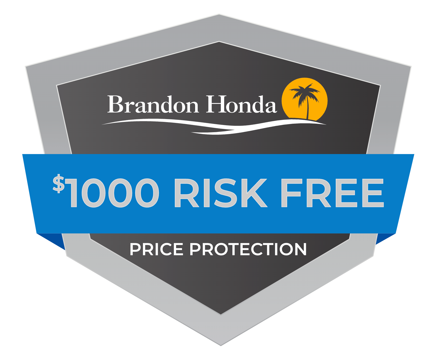 Brandon Honda 1000 Protection