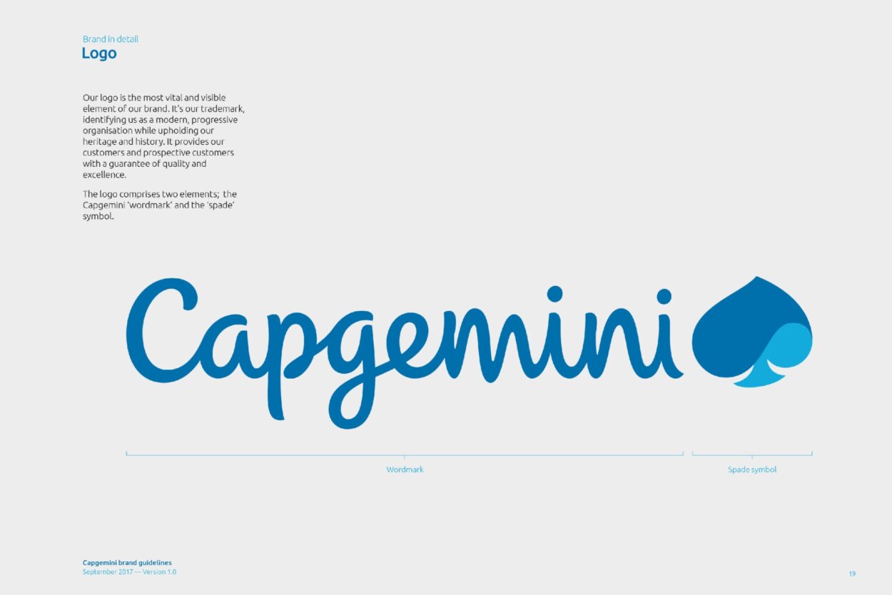 Capgemini Case Study Brandpie