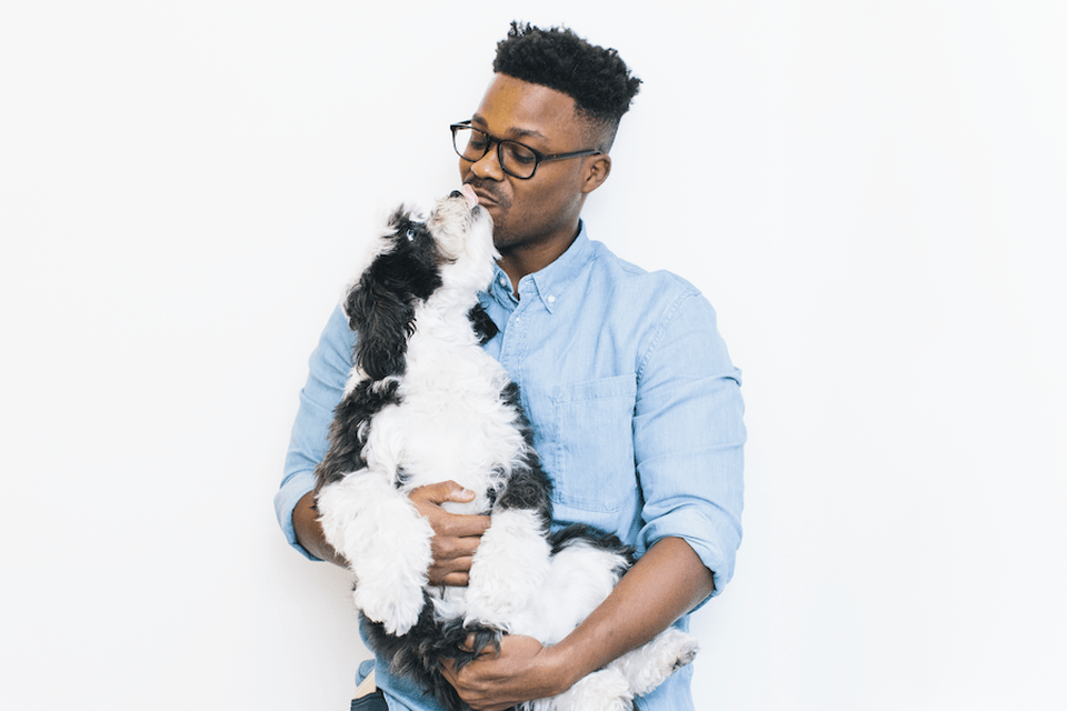 AN MIT GRAD LAUNCHES PET PLATE, A STARTUP BANKING ON DOG OWNERS WHO