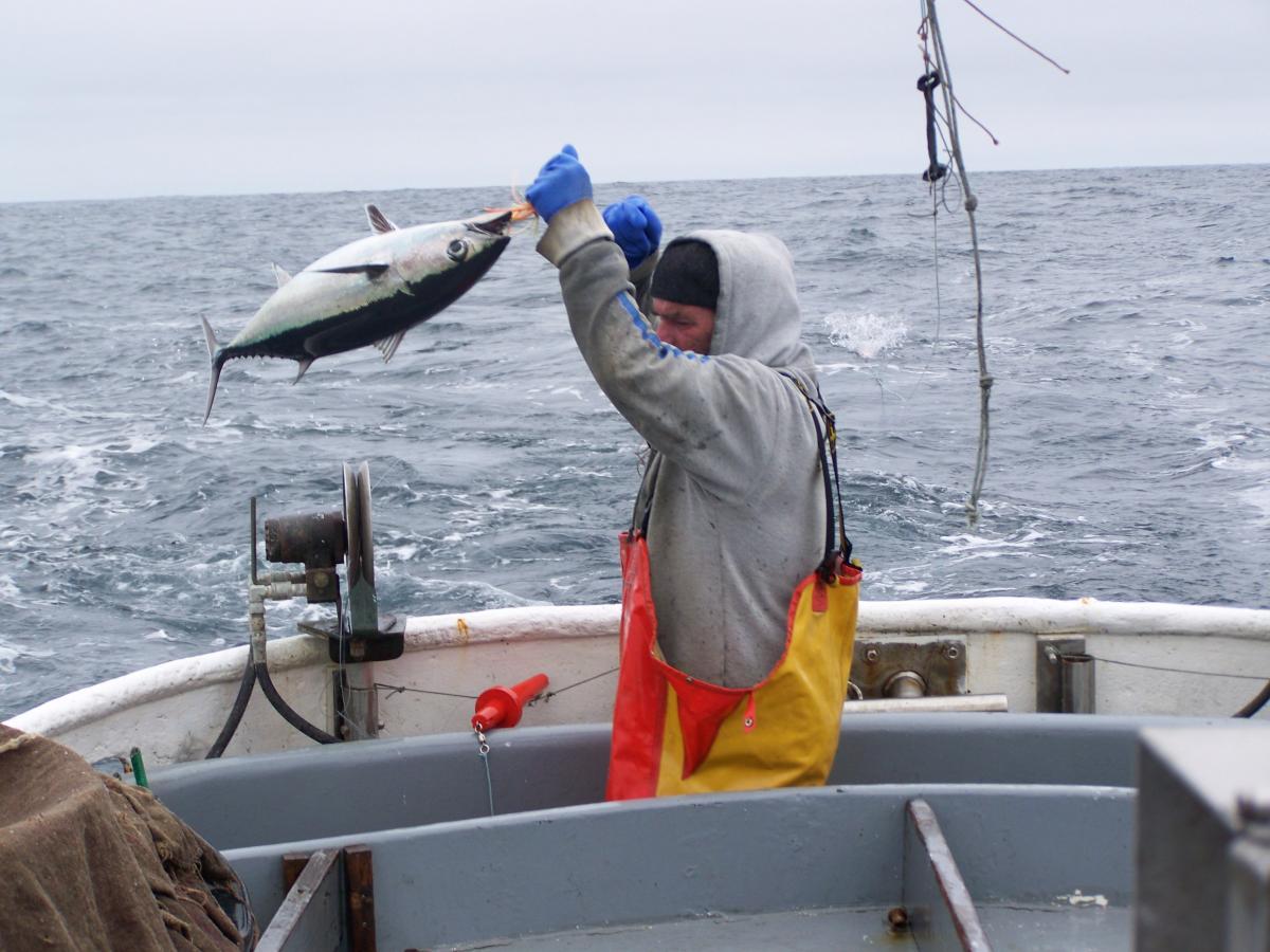 Brandywine Fisheries, LLC "Fresh Oregon Coast Seafood; Direct from
