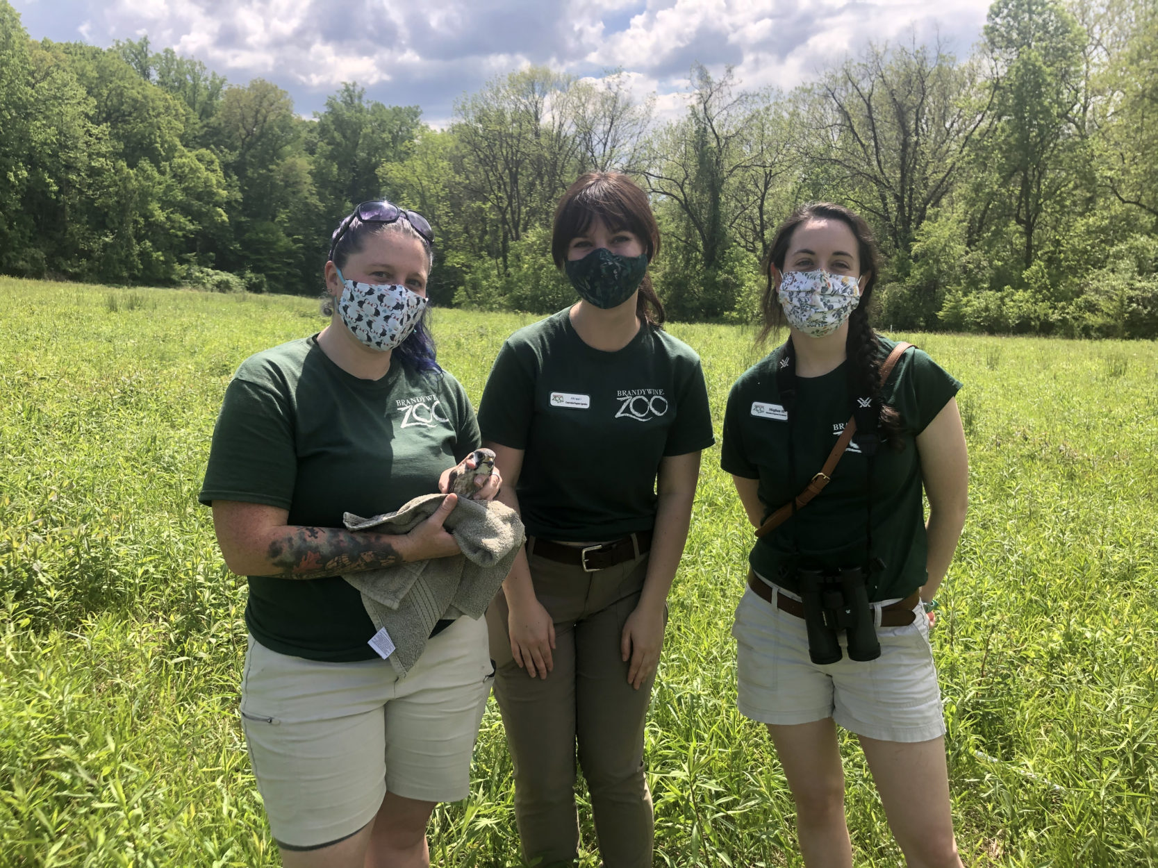 Brandywine Zoo staff with an American kestrel. • Brandywine Zoo