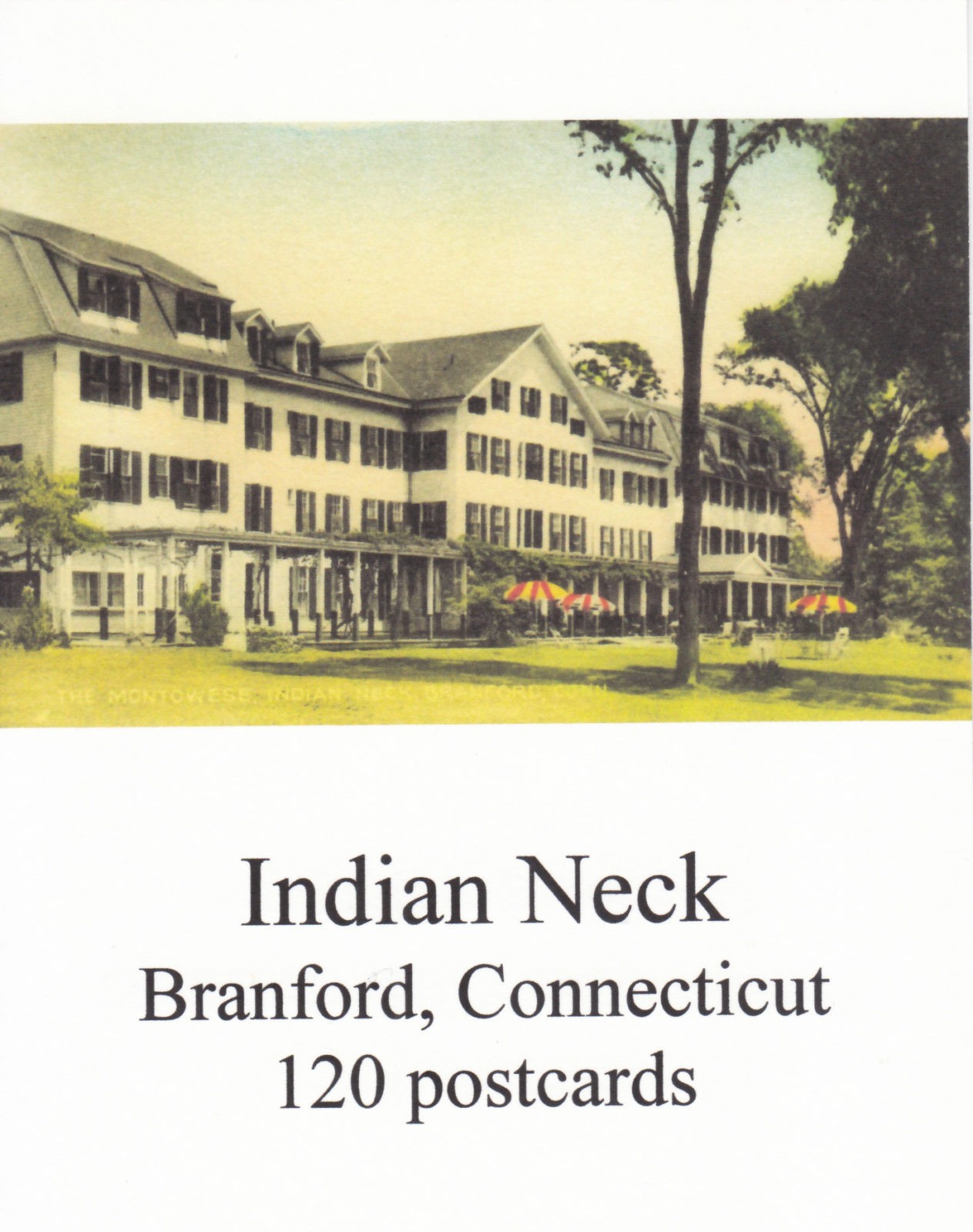 Indian Neck Postcards DVD Branford Historical Society