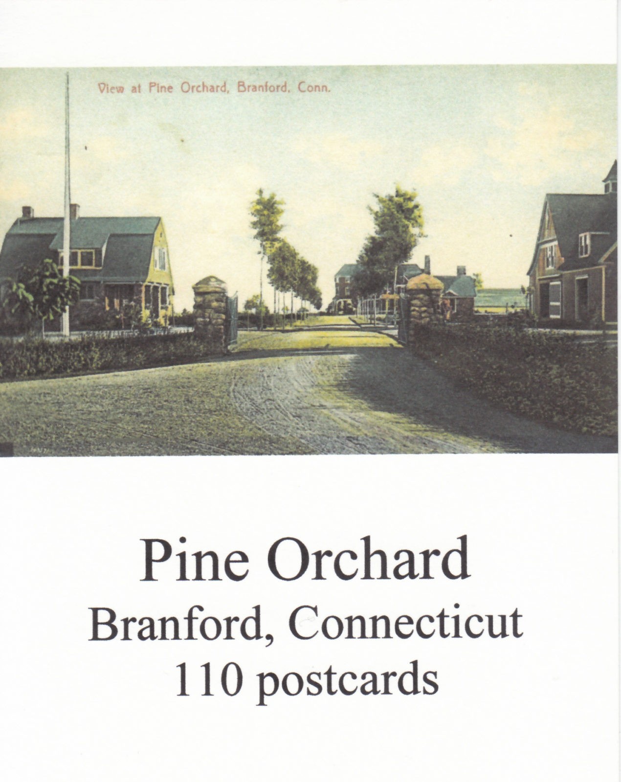 Pine Orchard Postcards DVD Branford Historical Society