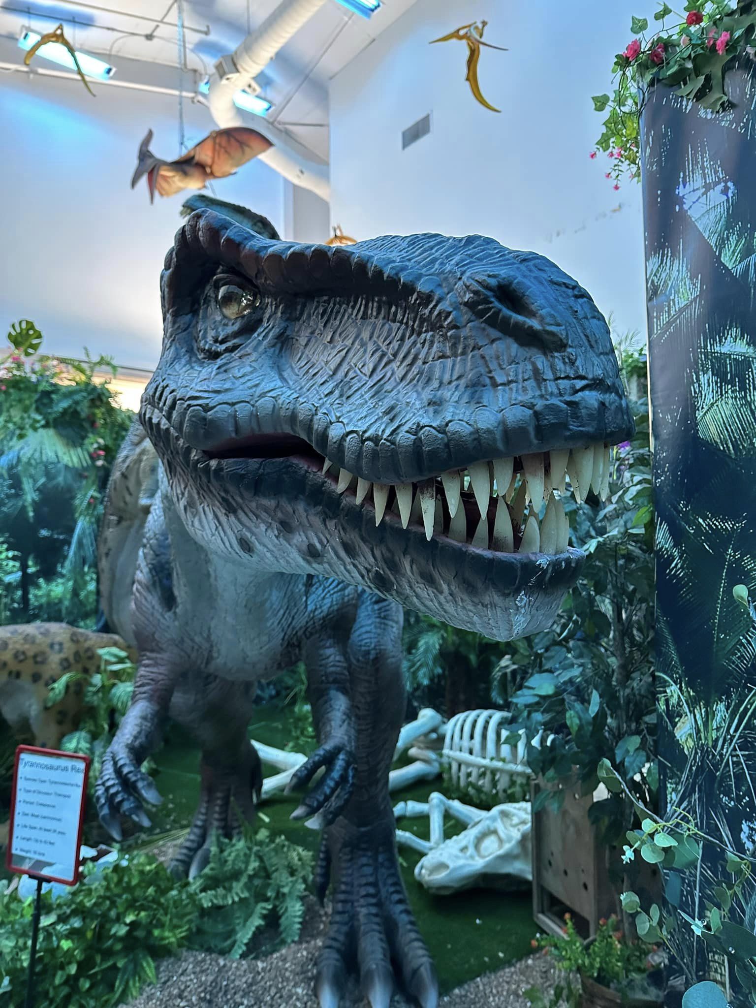 Seasonal Encounters Adds New Fun in Branson! Branson Ticket & Travel