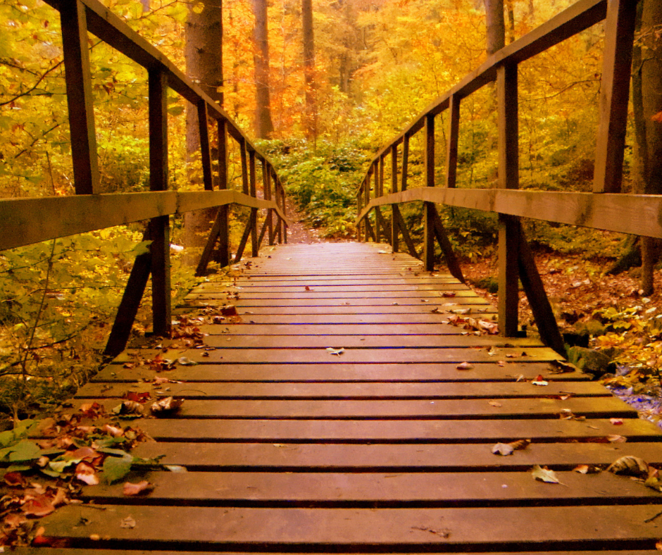 Fall Festivals, Events, and Attractions to Enjoy This 2021 Year