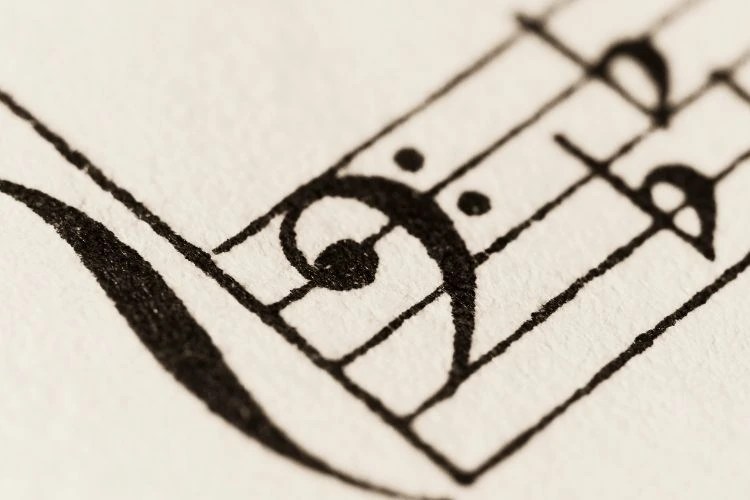 How to Play the Bassoon Brass 'n Wind