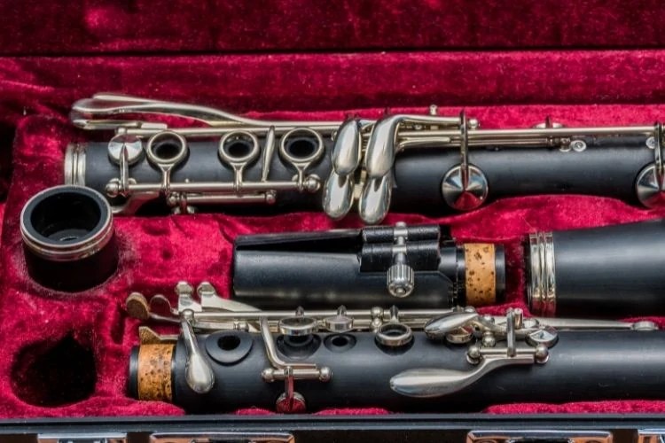 History and Types of Every Musician Should Know