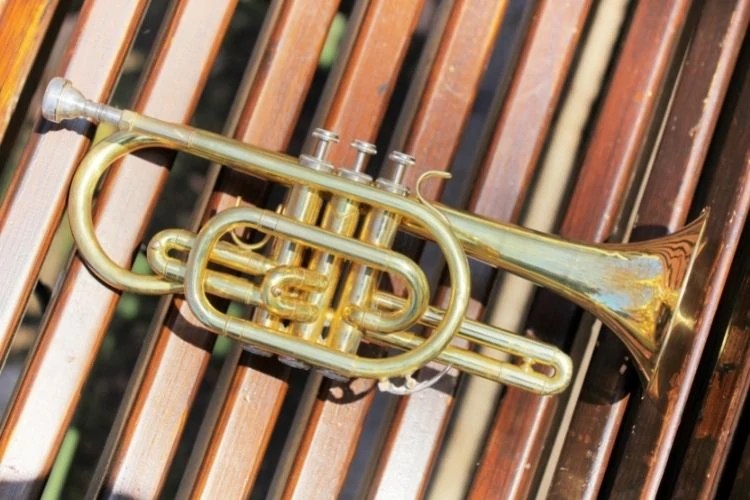 History and Types of Brass 'n Wind