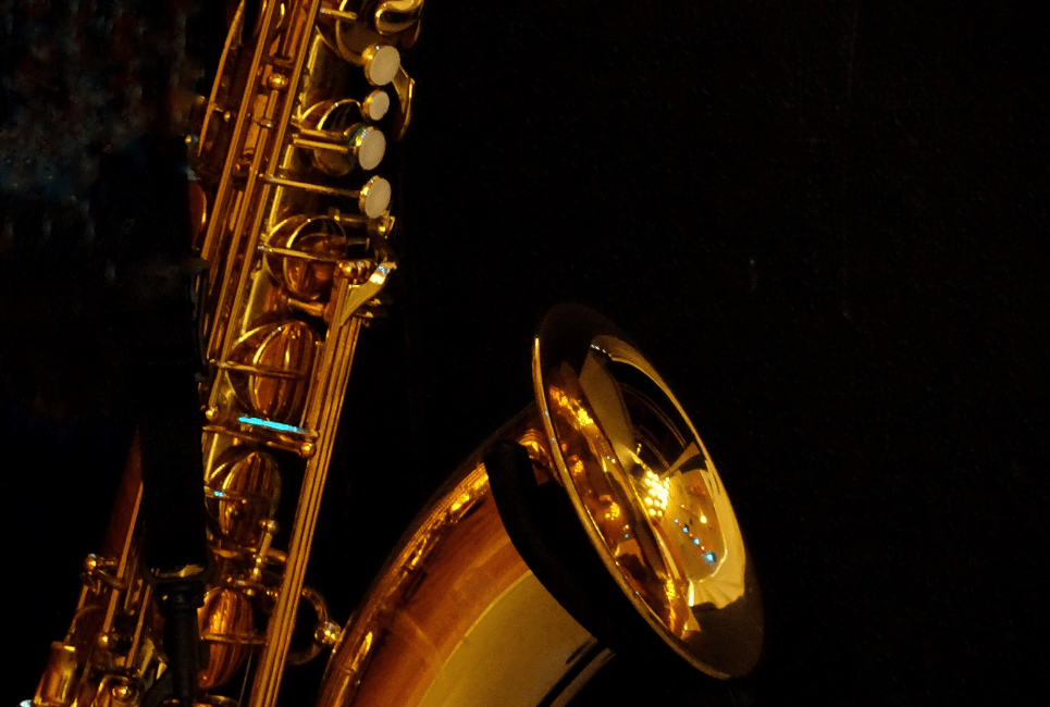 How to Find the Best Subcontrabass Saxophone Brass 'n Wind