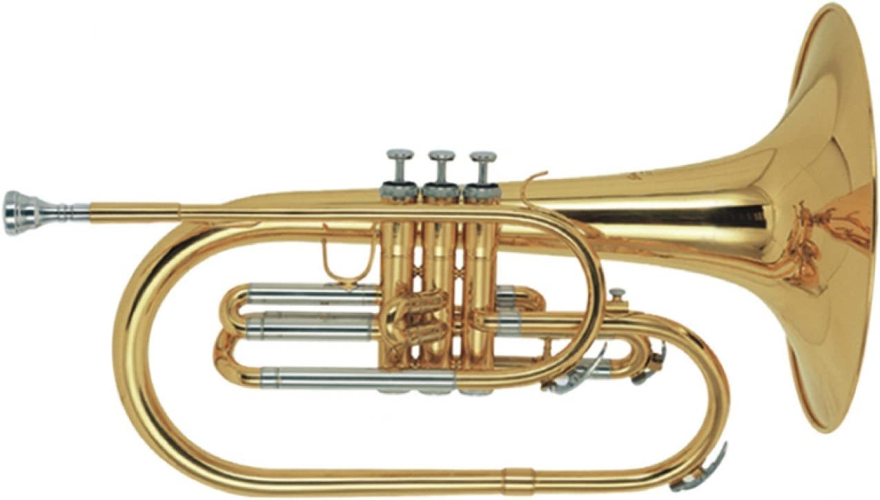 How to Find the Best Mellophone Brass 'n Wind